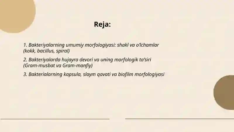 Bakteriyalarning morfologiyasi 2