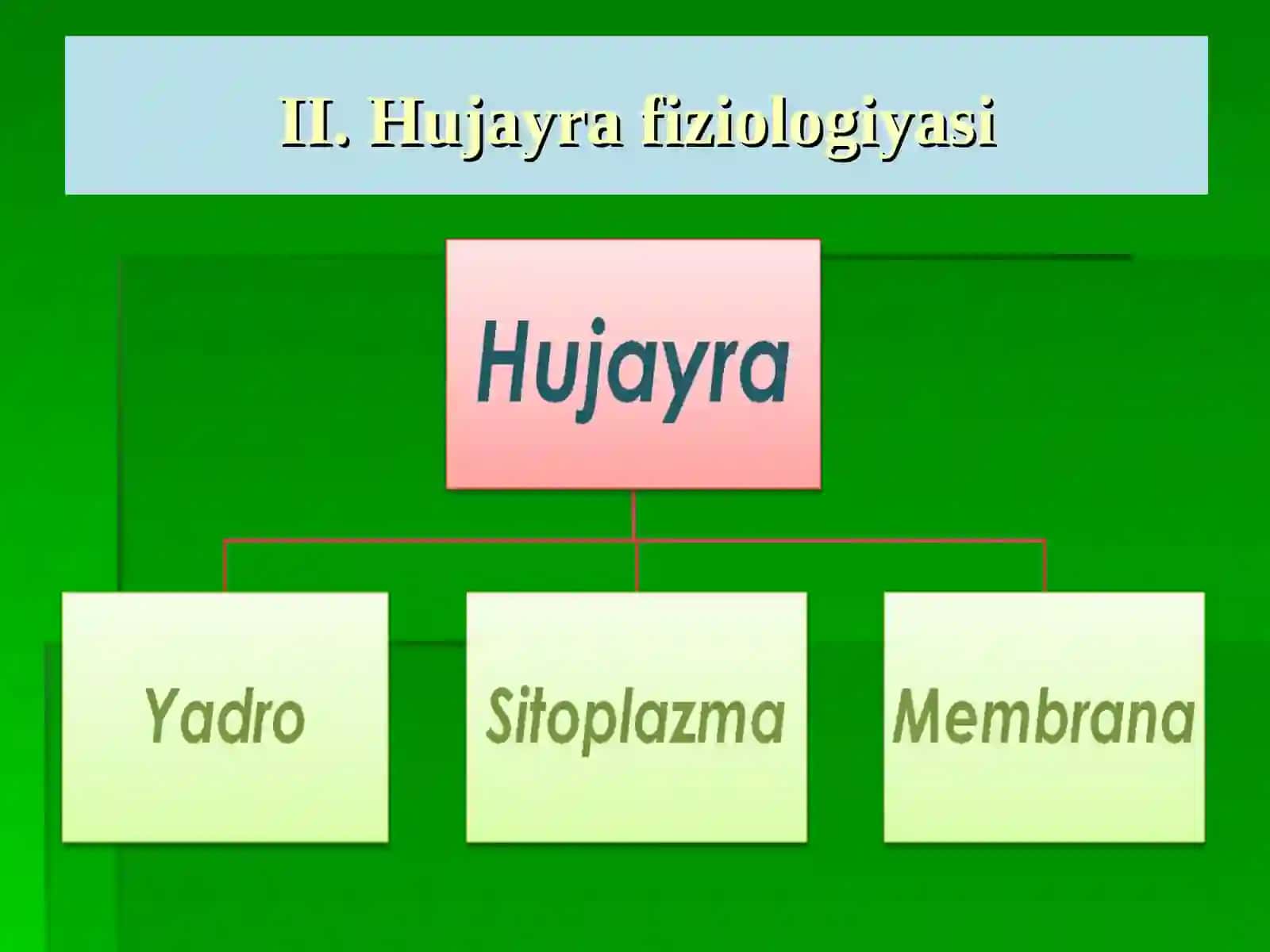 Irsiyat va rivojlanish 2