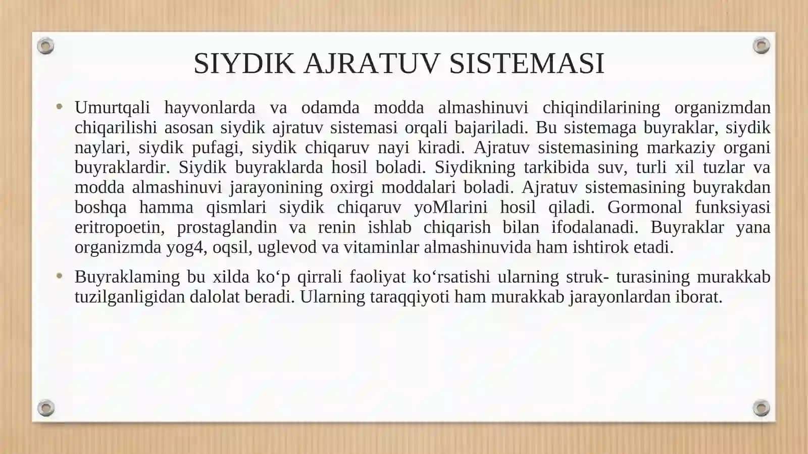 Ayruv sistemalari gistalogiyasi 2