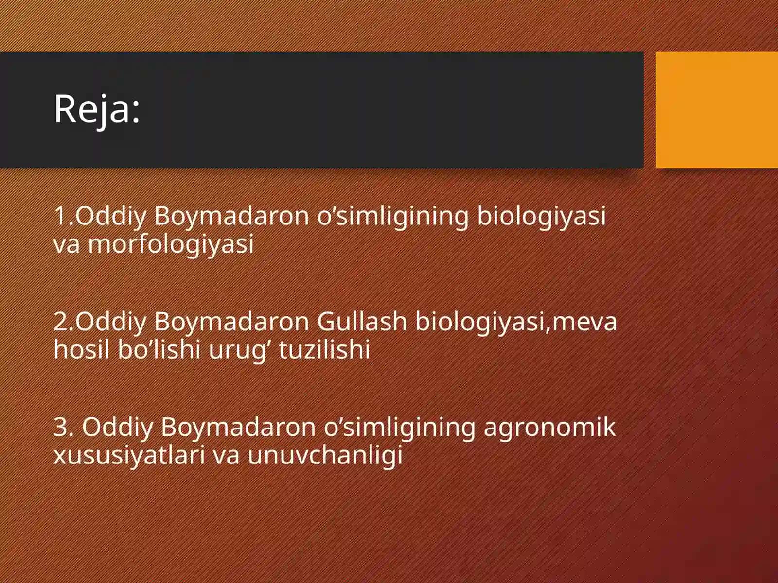 Oddiy Boymadaron (Achillea millefolium) 2
