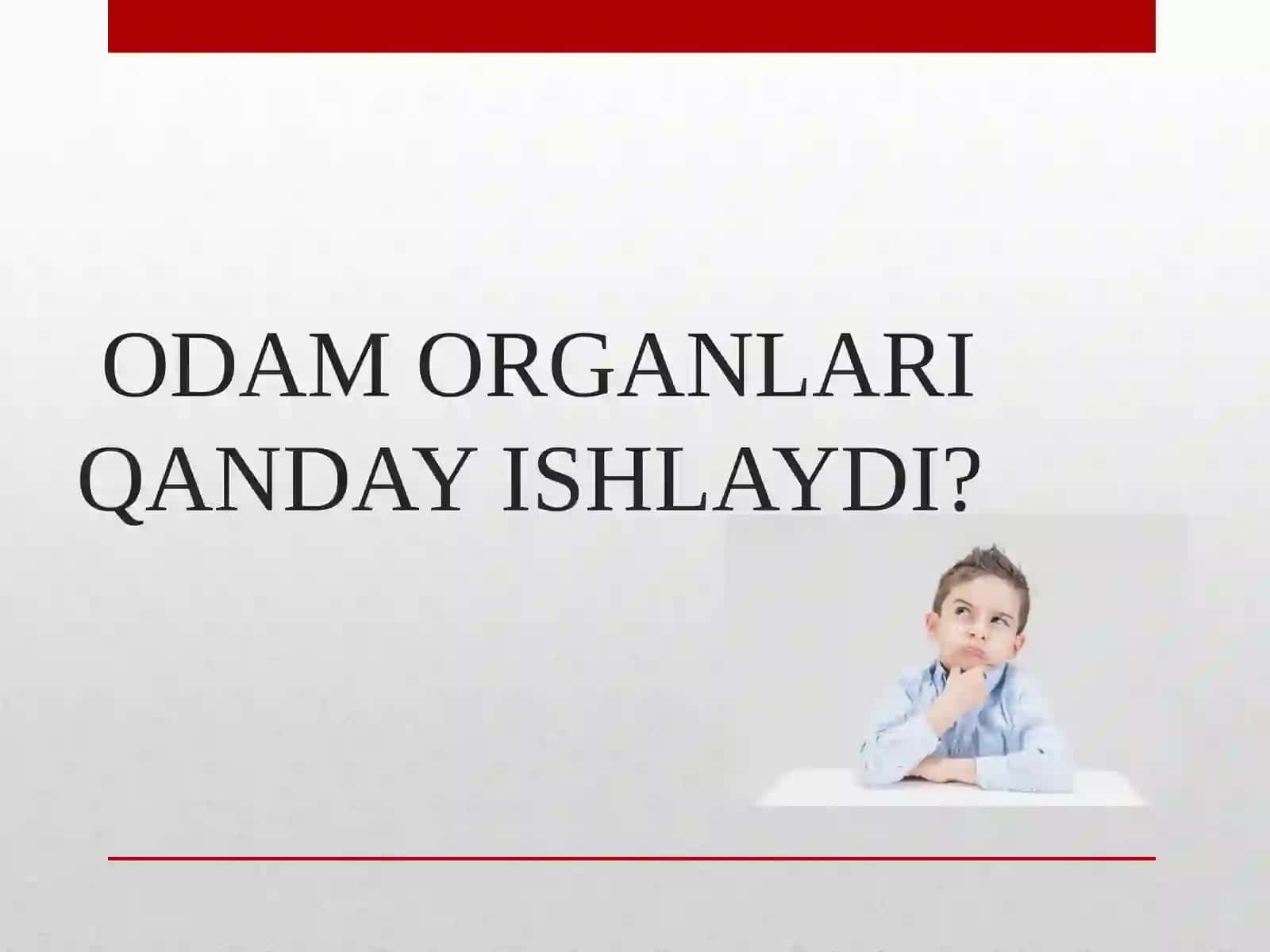 Odam Organlari Qanday Ishlaydi? 2