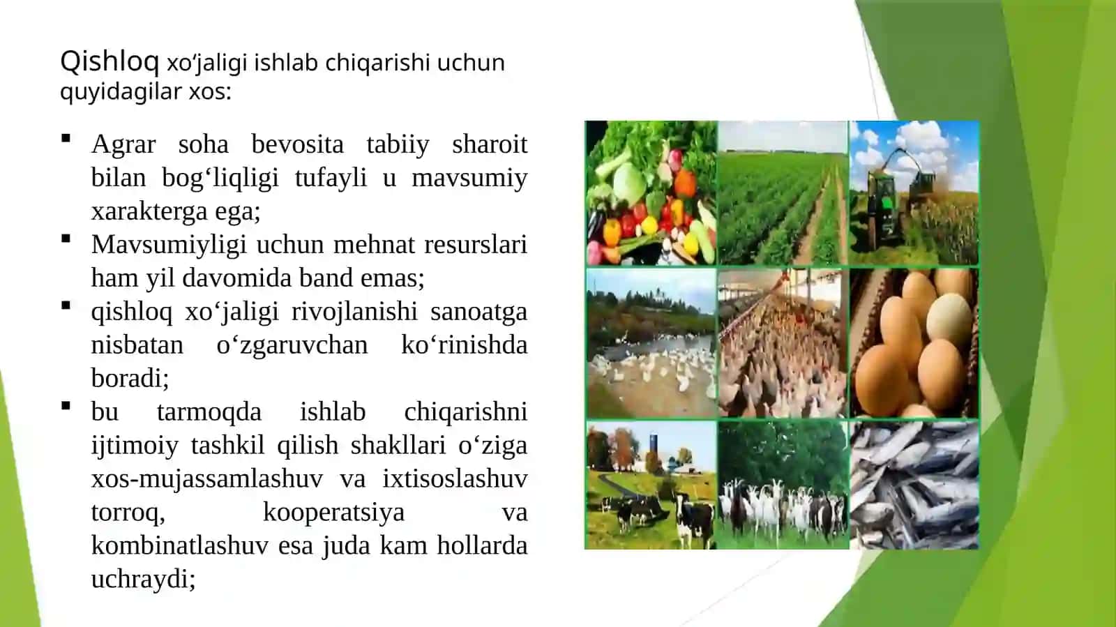 QISHLOQ XO‘JALIGI TARMOQLARINING JOYLANISHI 2