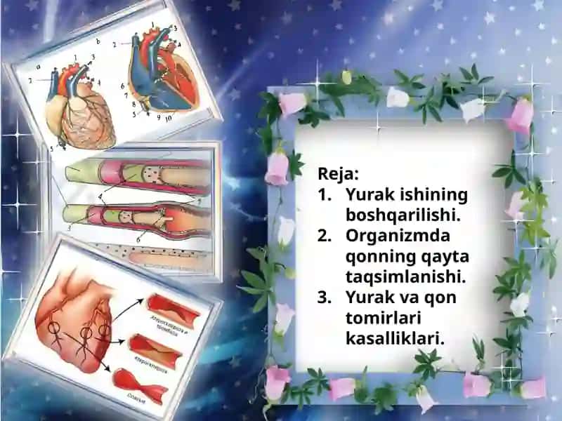 Qon aylanish organlari ishining boshqarilishi 2