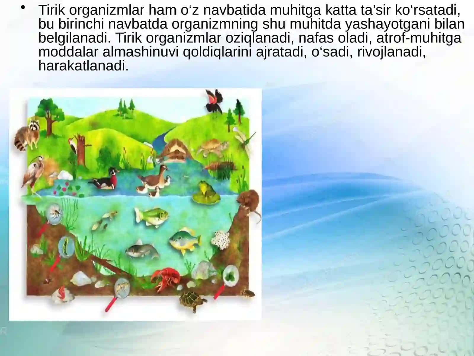 Muhitomillarivaularningtasnifi 2