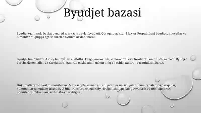 Byudjet Tizimi 2