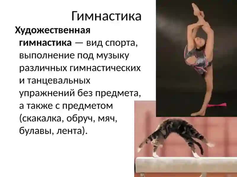 ХУдожественная гимнастика 2