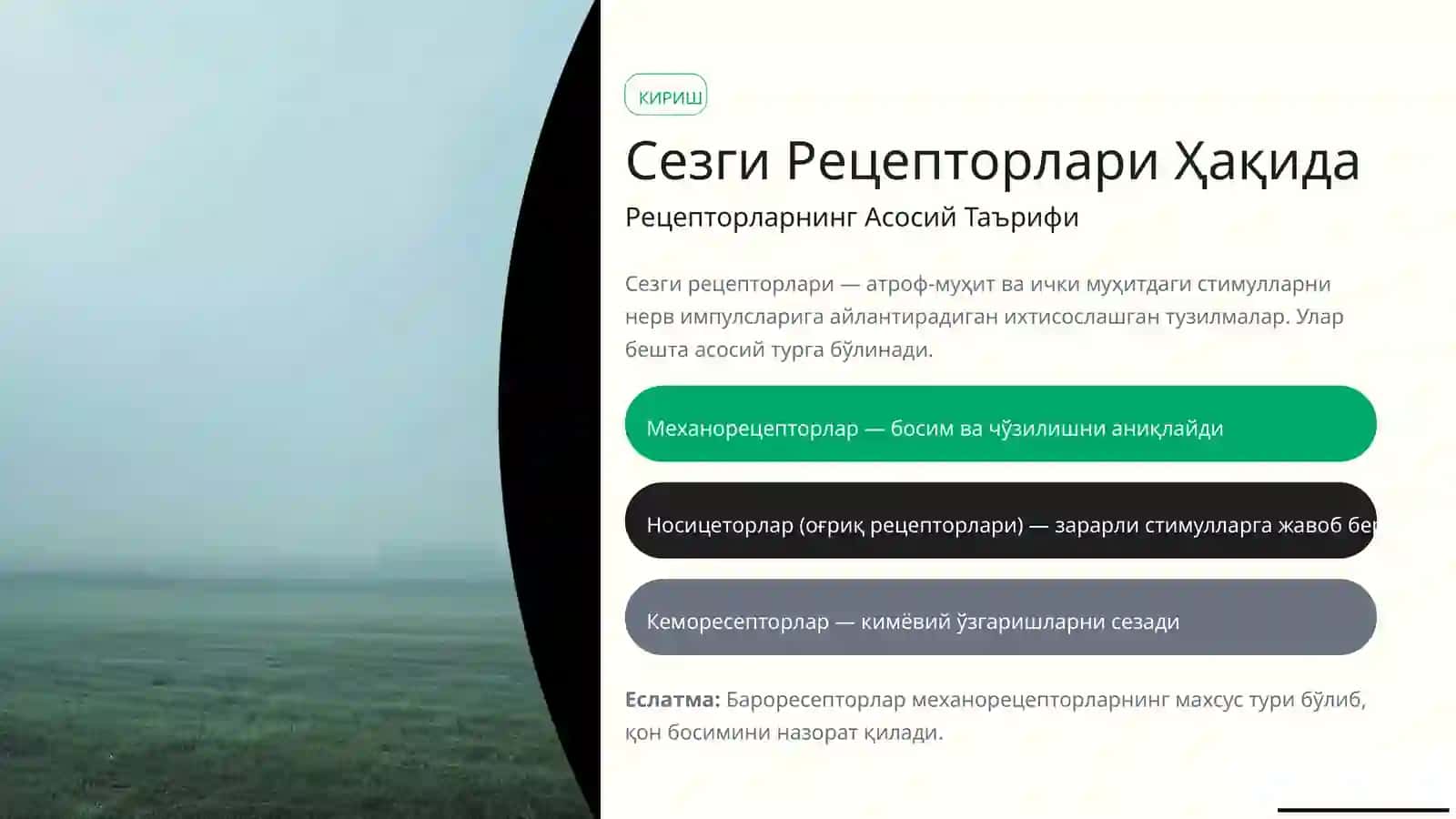 Рецепторлароғриқ, Баро - ва Ҳеморесепторлар 2