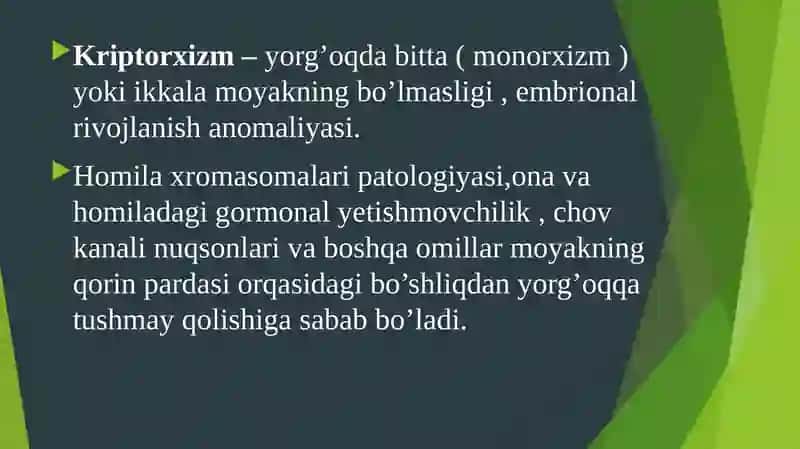 Kriptorxizm 2