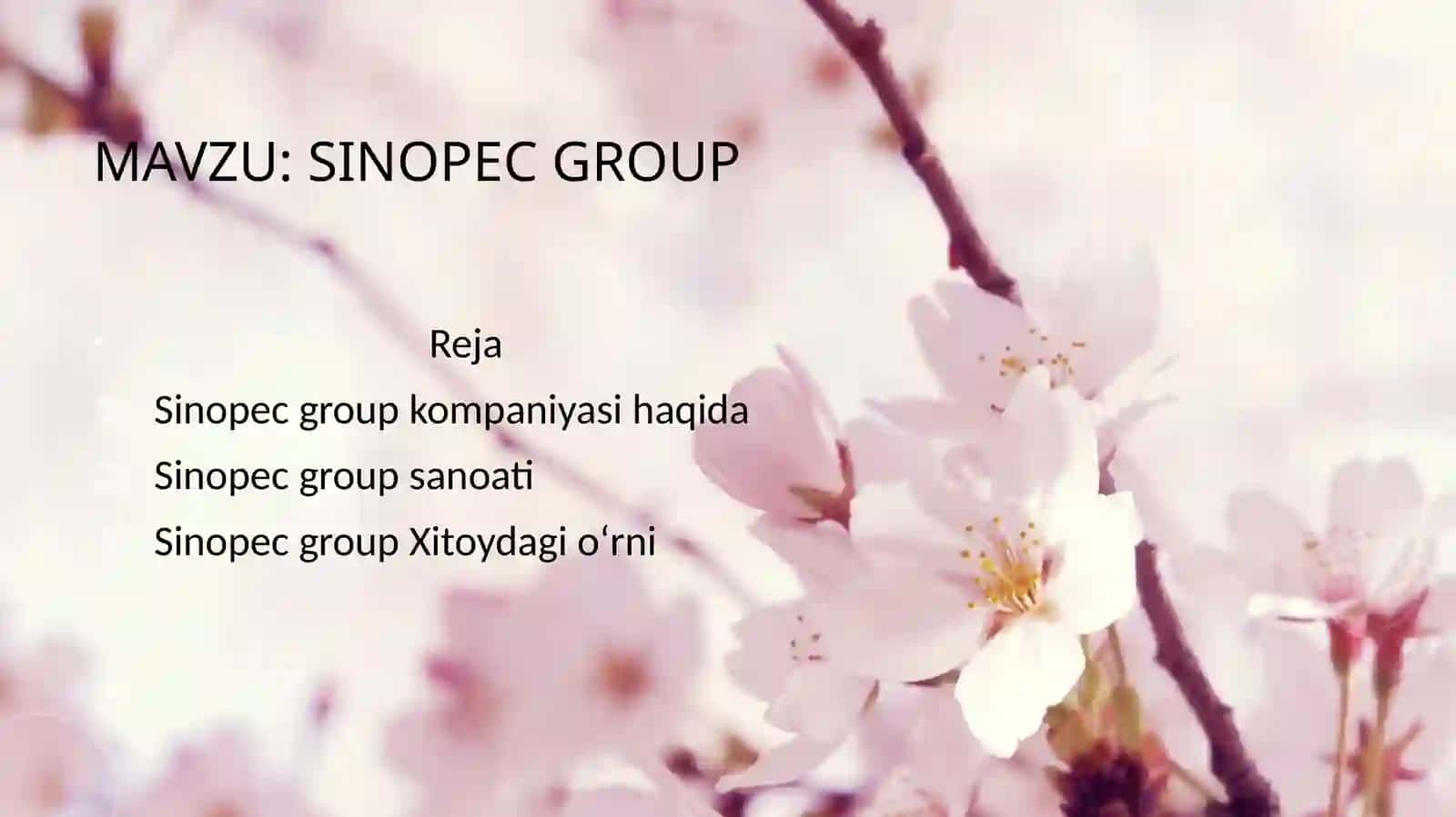 Sinopec Group 2