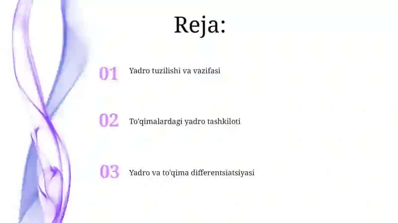 Hujayra yadrosi 2