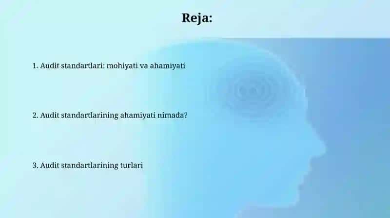 Audit standartlari haqida tushuncha 2