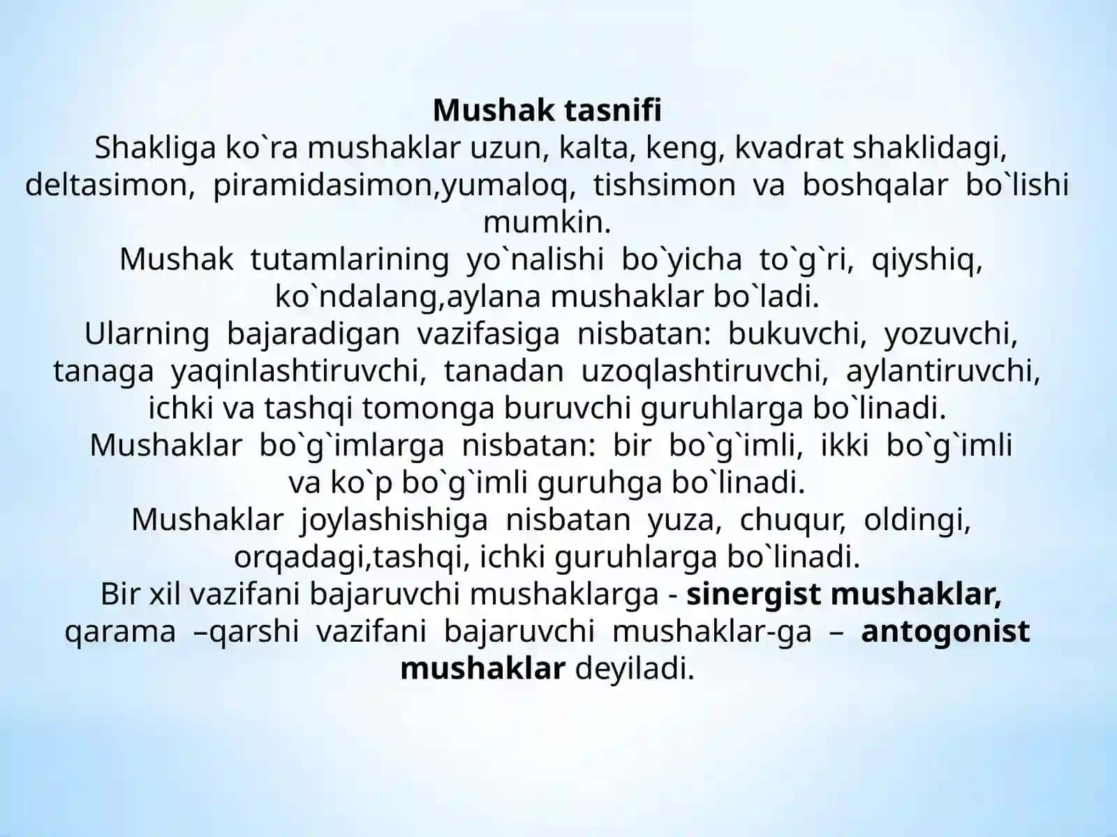MUSHAKLAR 2