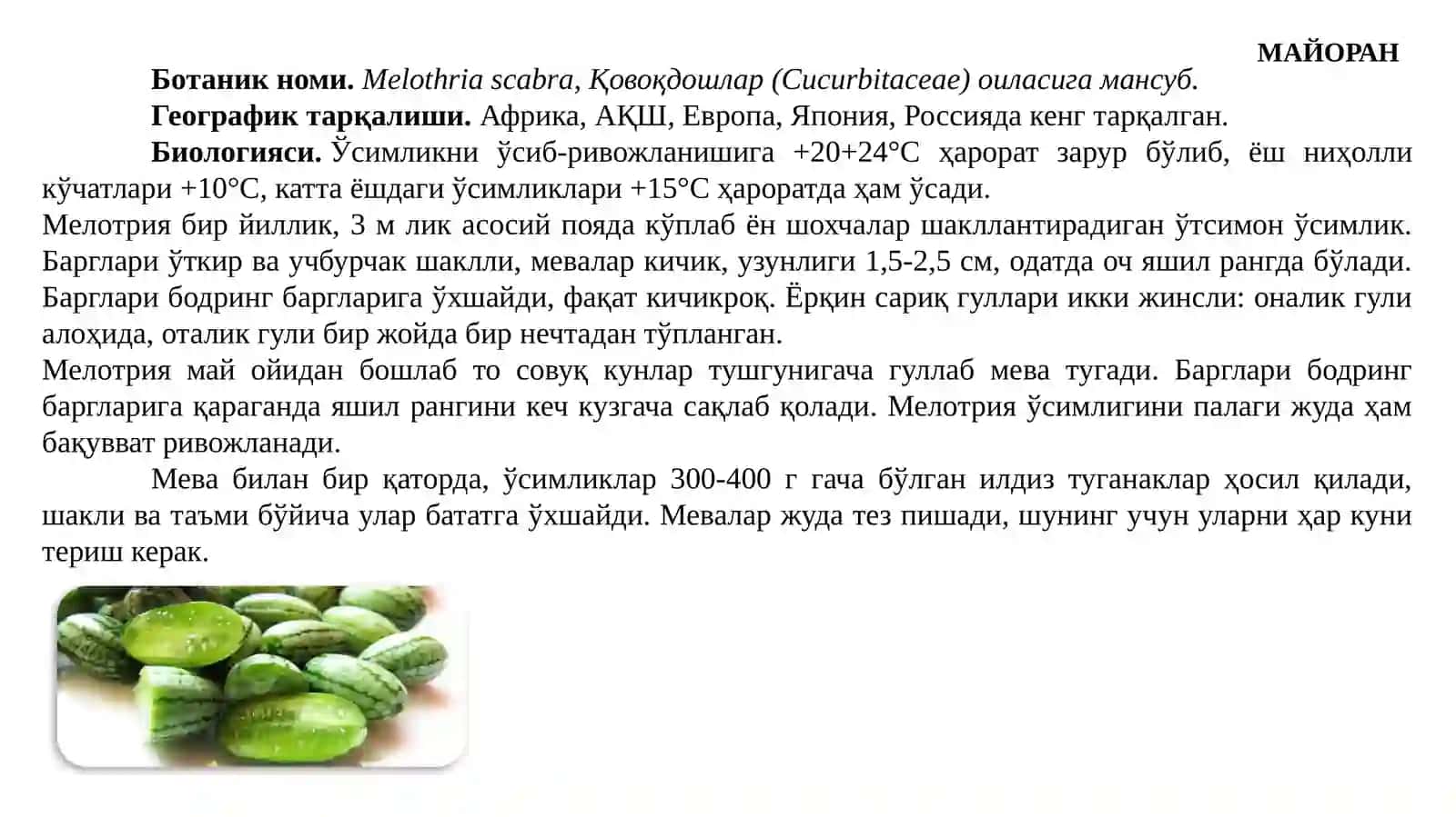 Маъруза-4 2