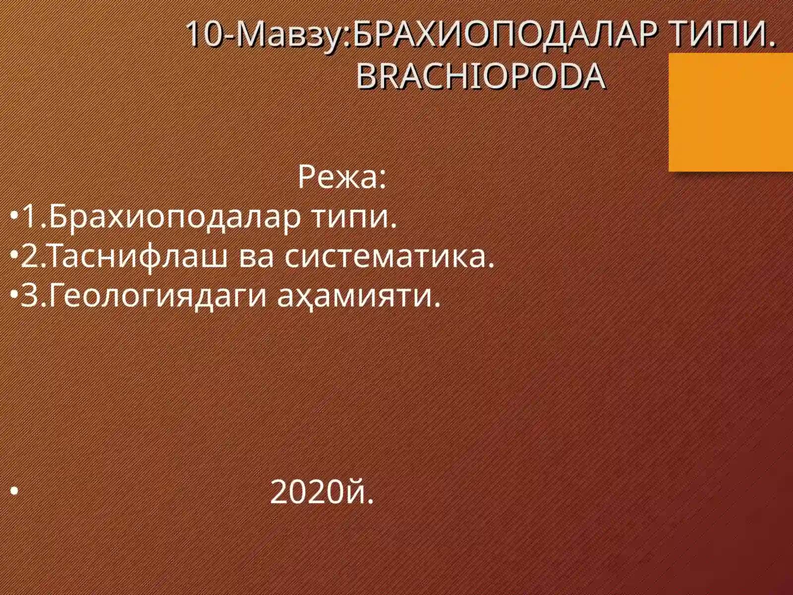 БРАХИОПОДАЛАР ТИПИ.BRACHIOPODA 2