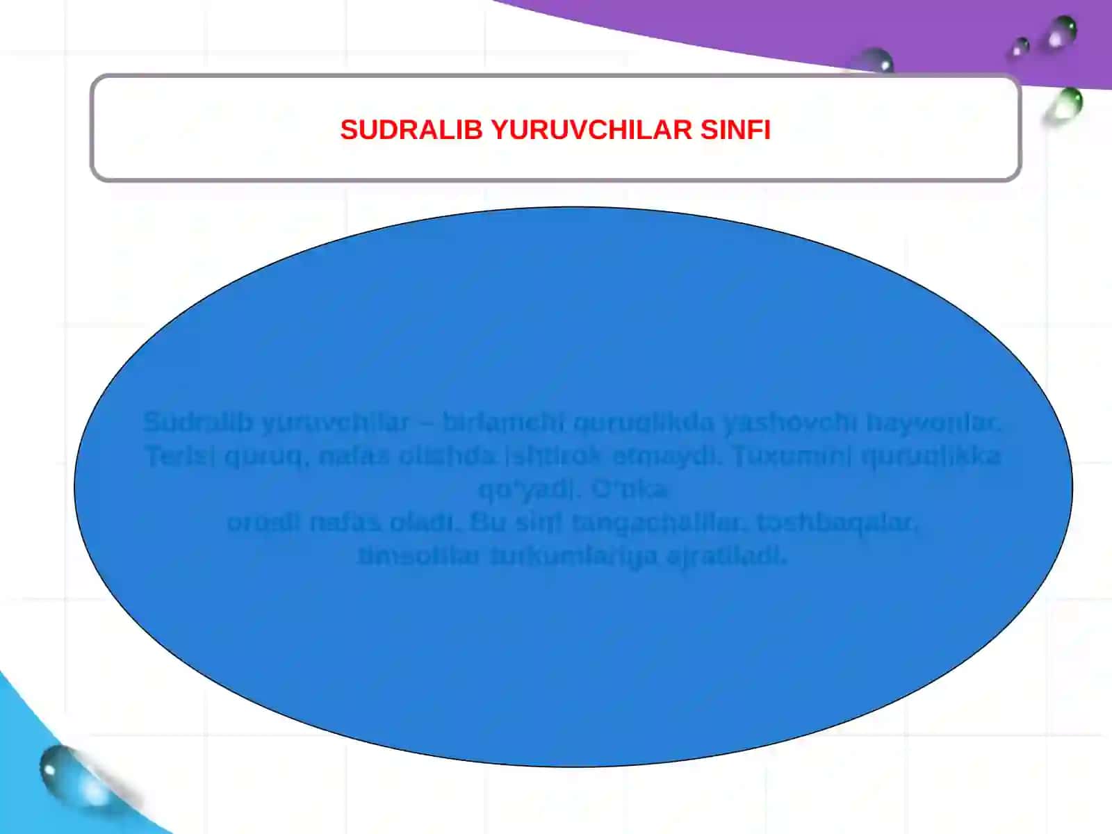 Reptilyalar-sudraliburuvchilar 2