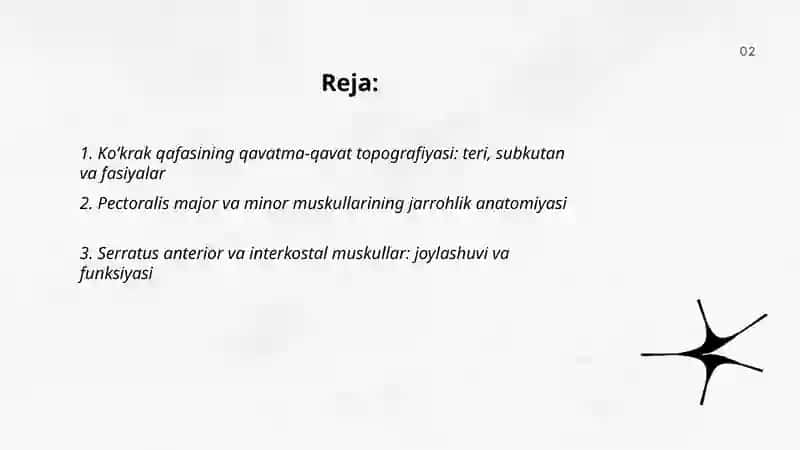 Koʻkrak qafasining jarrohlik anatomiyasi 2
