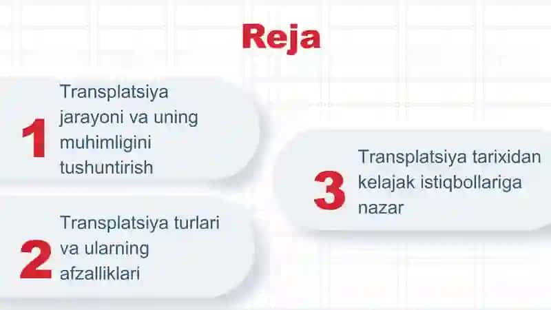 Transplatsiya 2