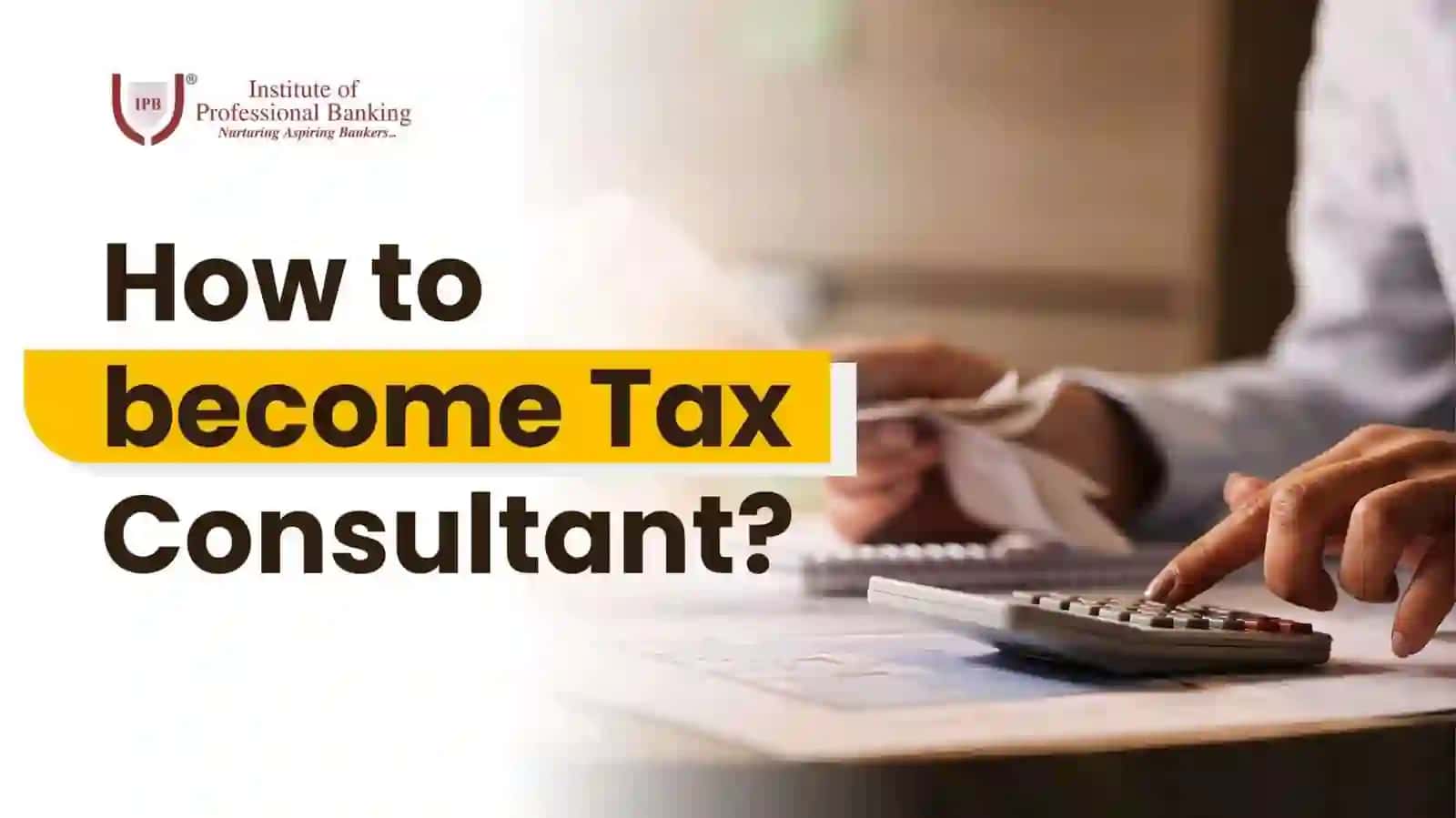 TAX CONSULTANT 2