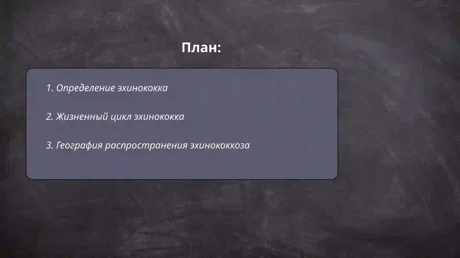 Эхинакокк 2