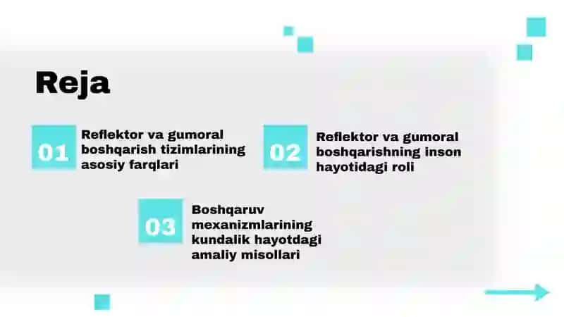 Hazmtizimifaoliyatiningreflektorvagumoralyo'lbilanboshqarilishi 2