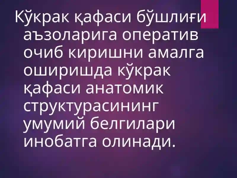 БЕЛ СОХАСИЖАРРОҲЛИК АНАТОМИЯСИ 2