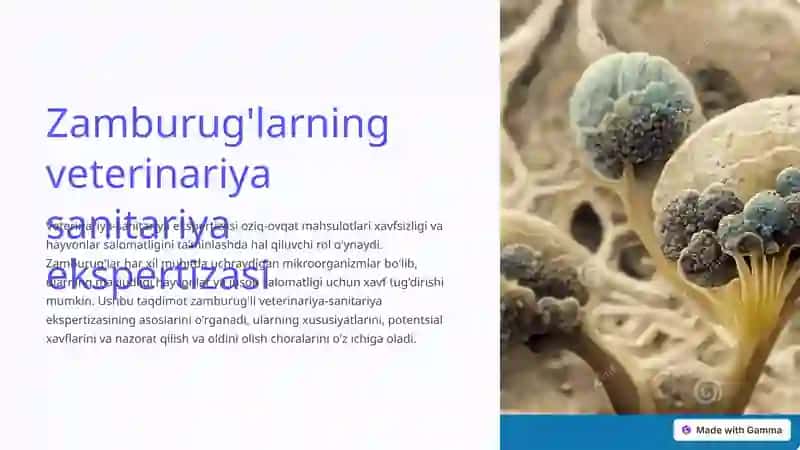 Zamburug'larning veterinariya sanitariya ekspertizasi 2