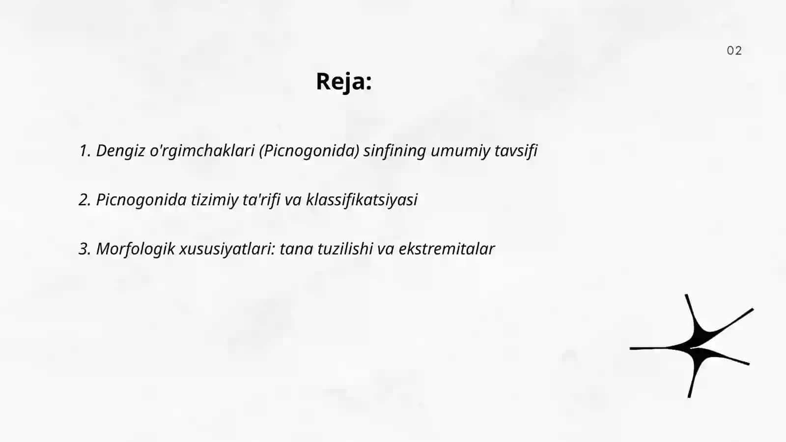 Dengiz o'rgimchaklari (picnogonida) sinifi 2