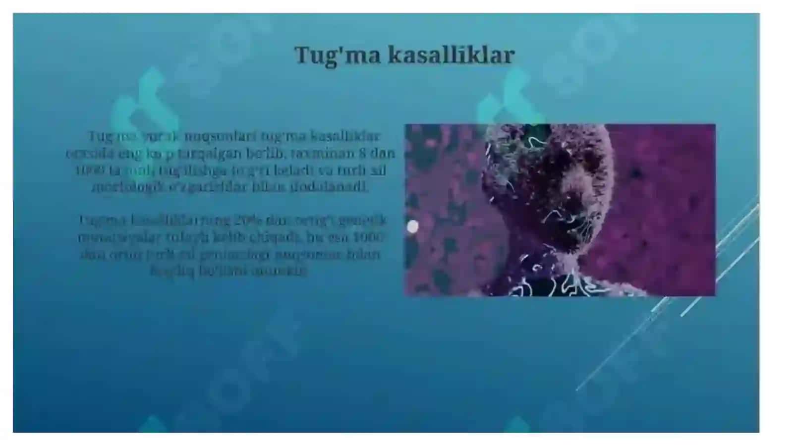Ko'p tarmoqli tibbiyot texnikumi 2