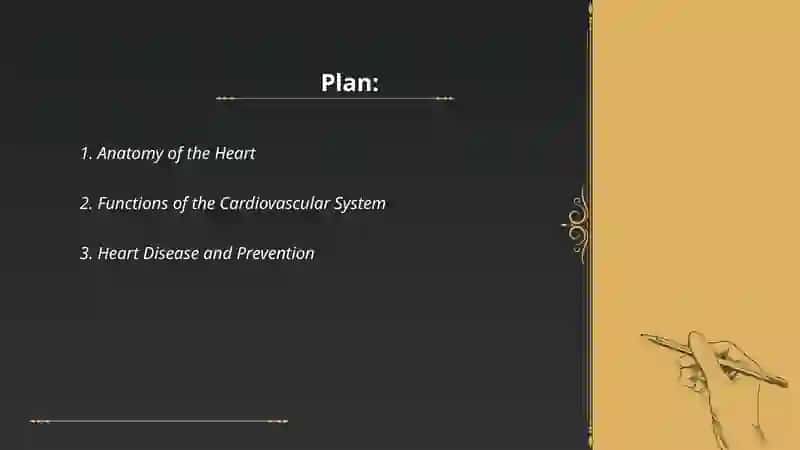 Heart and a vascular system 2