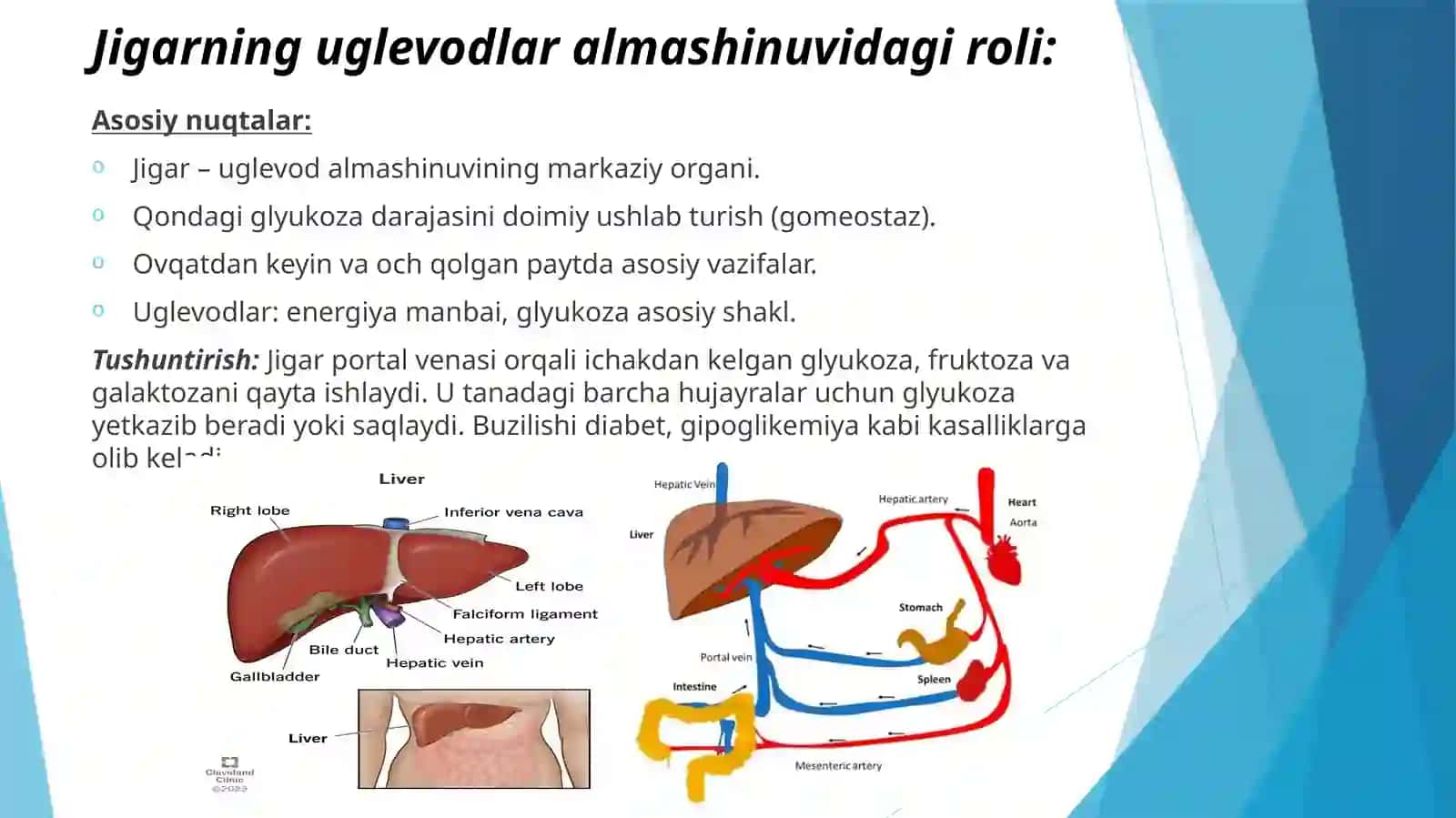 Jigardauglevodlaralmashinuvi 2