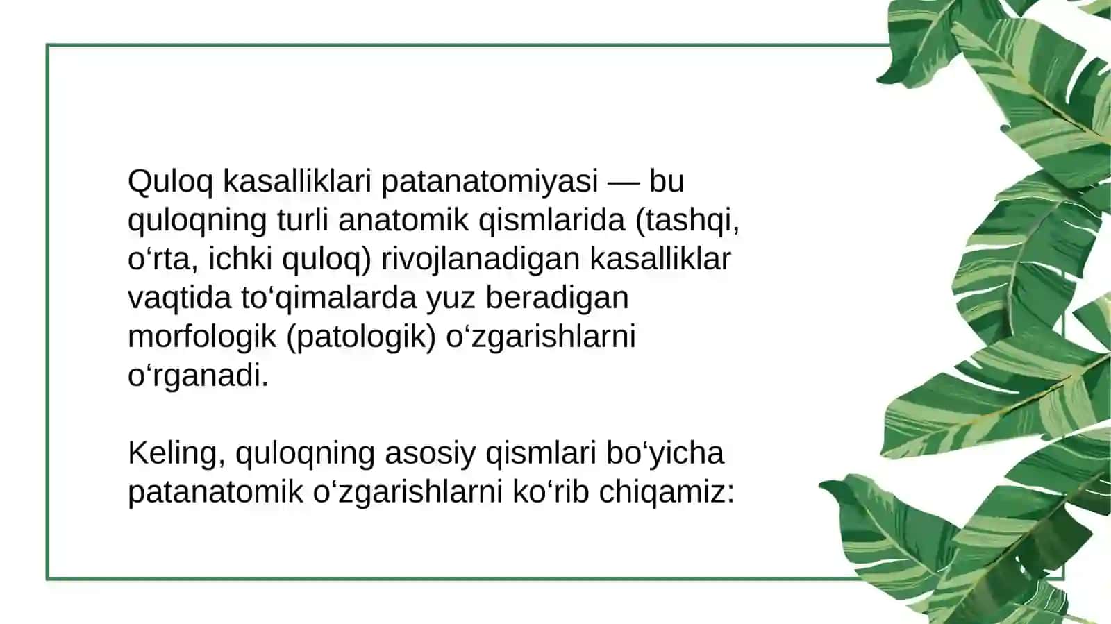 Quloq kasalliklari patanatomiyasi 2