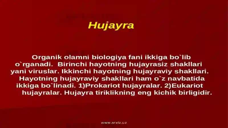 HUJAYRA HAQIDA MA'LUMOT 2