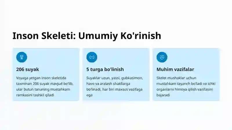 Rentgen Anatomiyasida Suyaklar 2