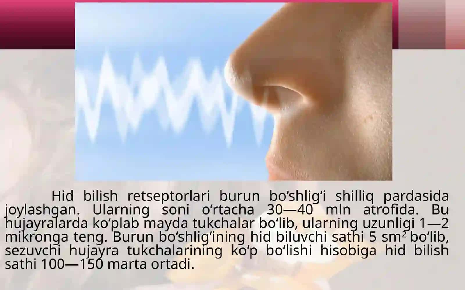 Hid va ta'm bilish organlari 2