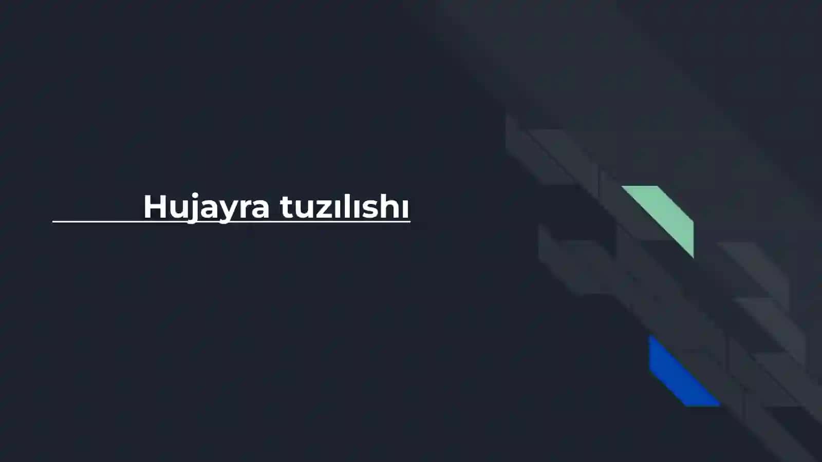 Tuzılıshı va funksional birligi 2