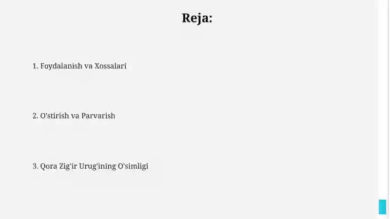 Qora zira oʻsimlik 2