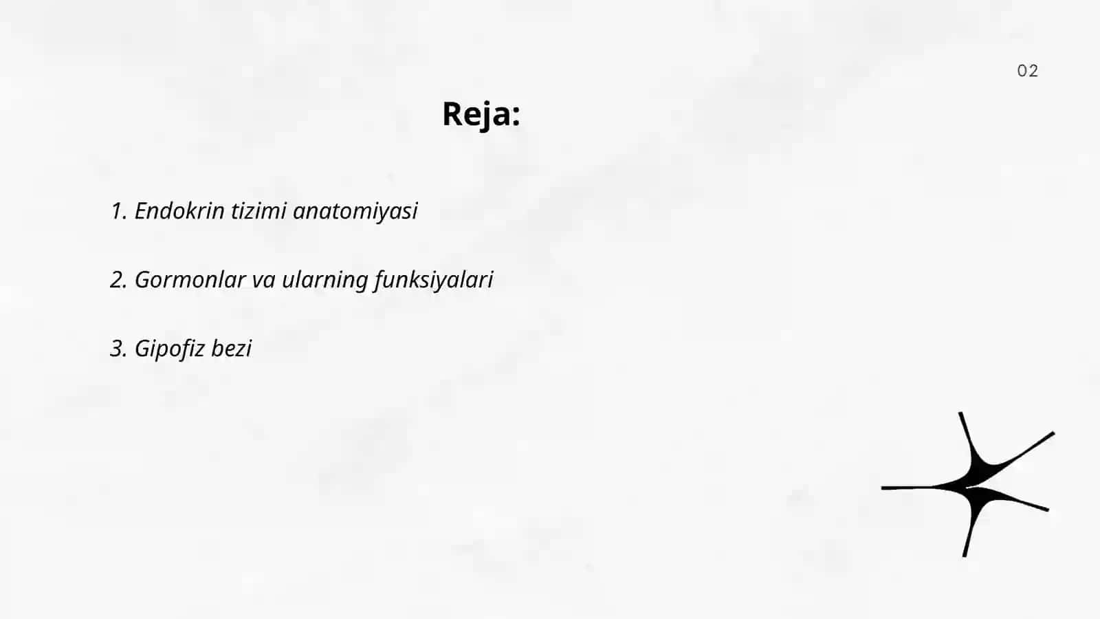 Endokrin sistema 2
