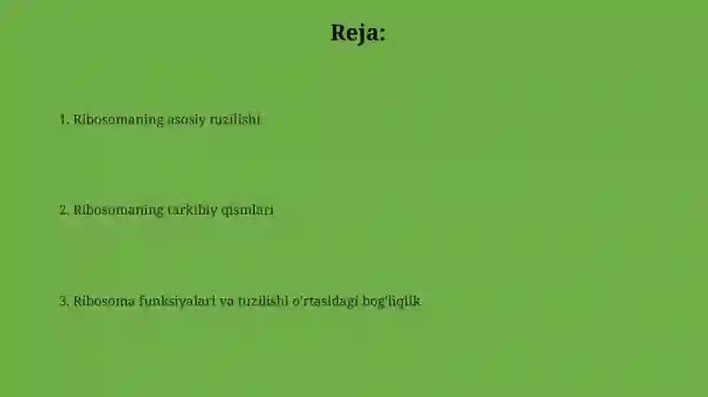 Ribosomaning tuzilishi 2