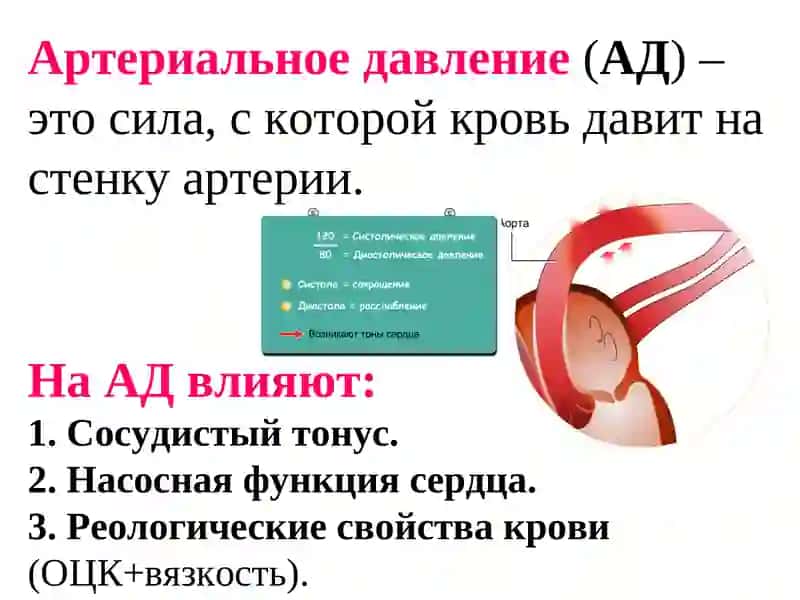 Антигипертензивные ЛС 2