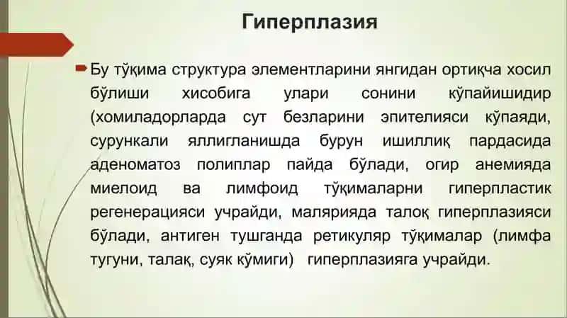 Усма 2