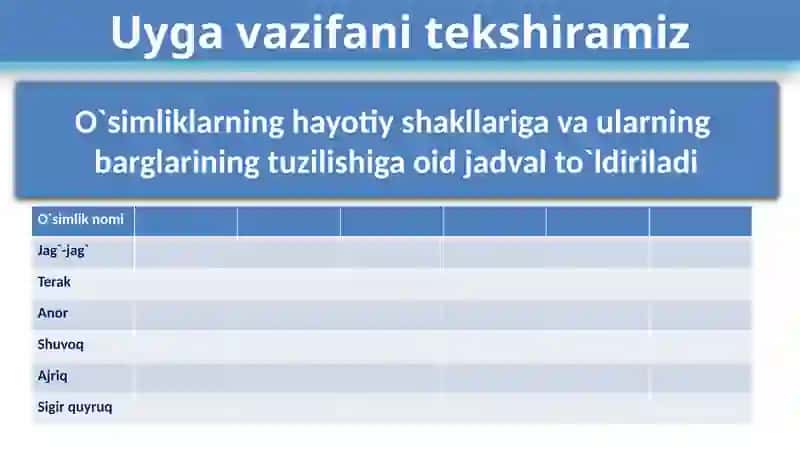 5-sinfo’quvchilariuchun “Novdada barglarning joylashishi” 2