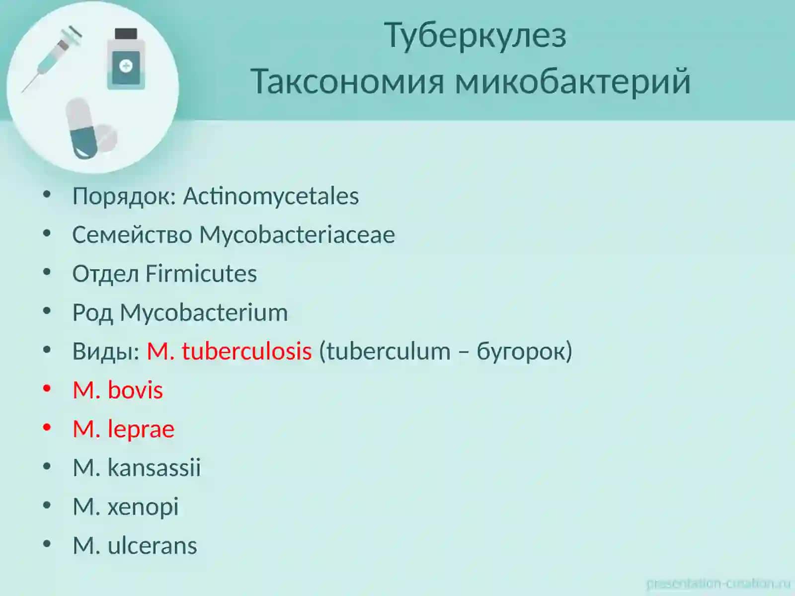 ТуберкулезТаксономия микобактерий 2