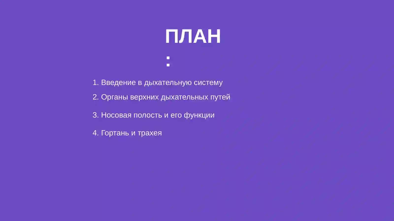 Система органов дыхания 2