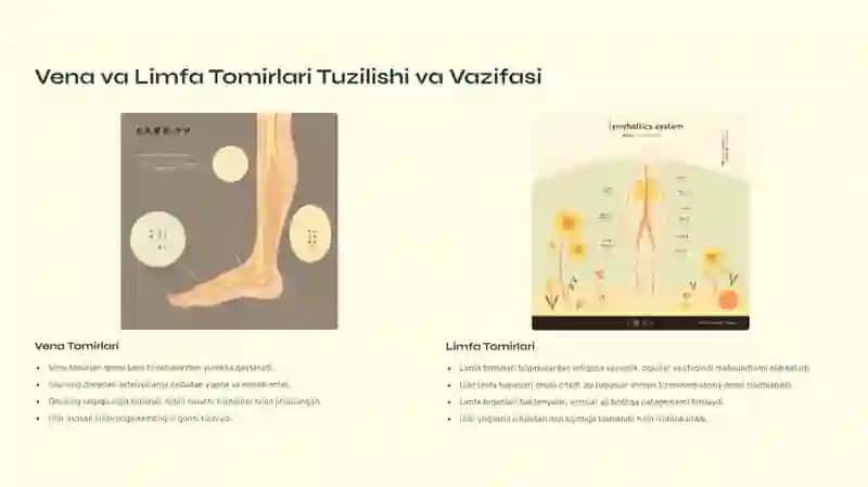Vena va limfa tomirlari patologiyasi. Tomirlarga aralashishdagi patologiya 2