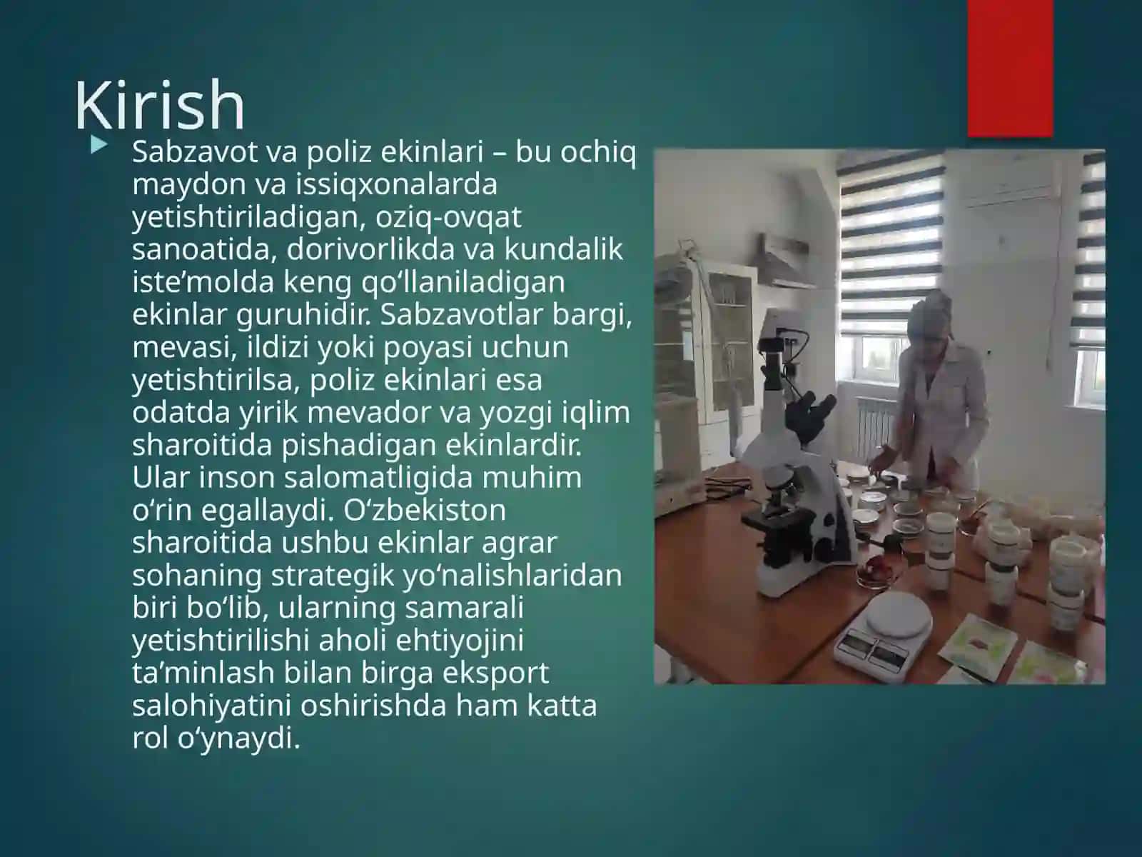 Sabzavod va Poliz Ekinlari 2