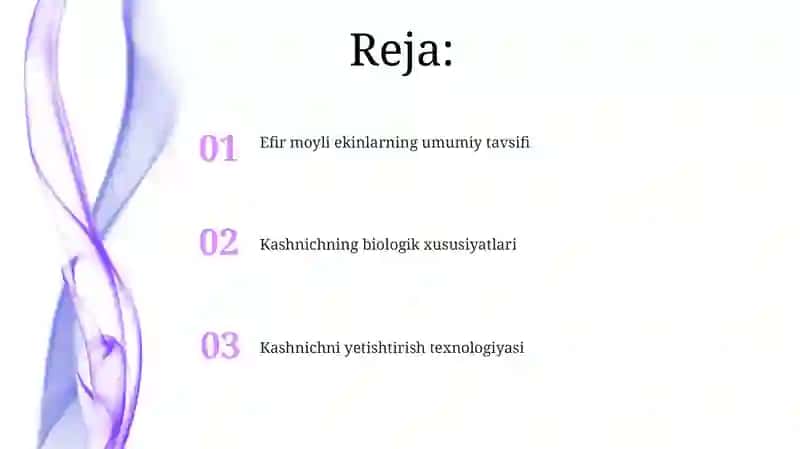 Efir moyli ekinlarning umumiy tavsifi 2