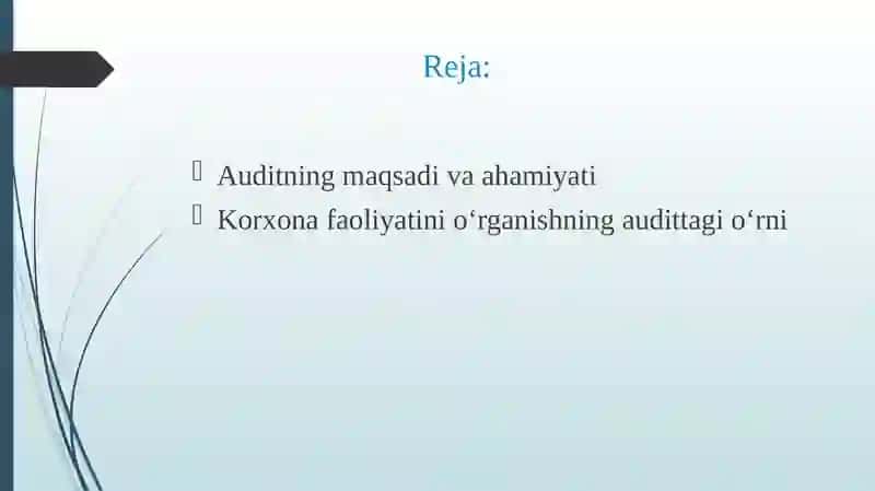 Tekshiriladigan korxona faoliyatini o‘rganish 2