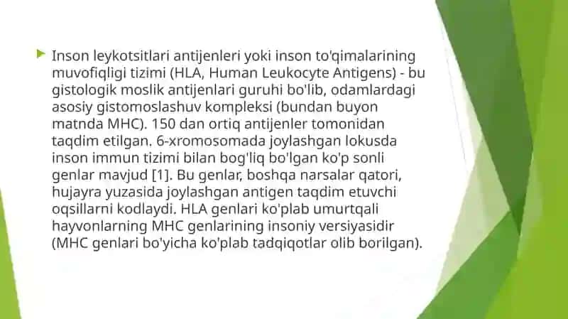 HLA-tizimi 2