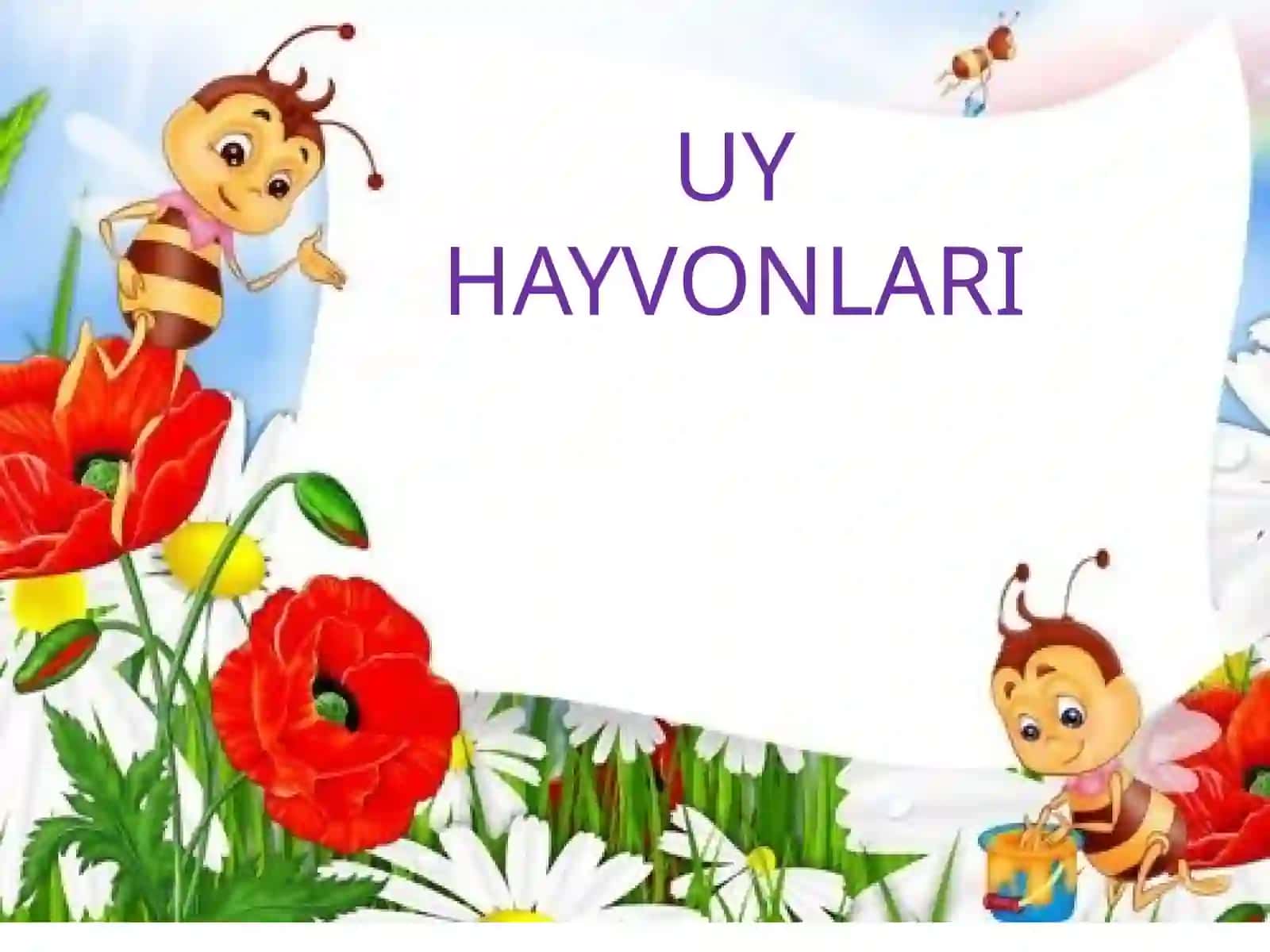 Uy hayvonlari 2