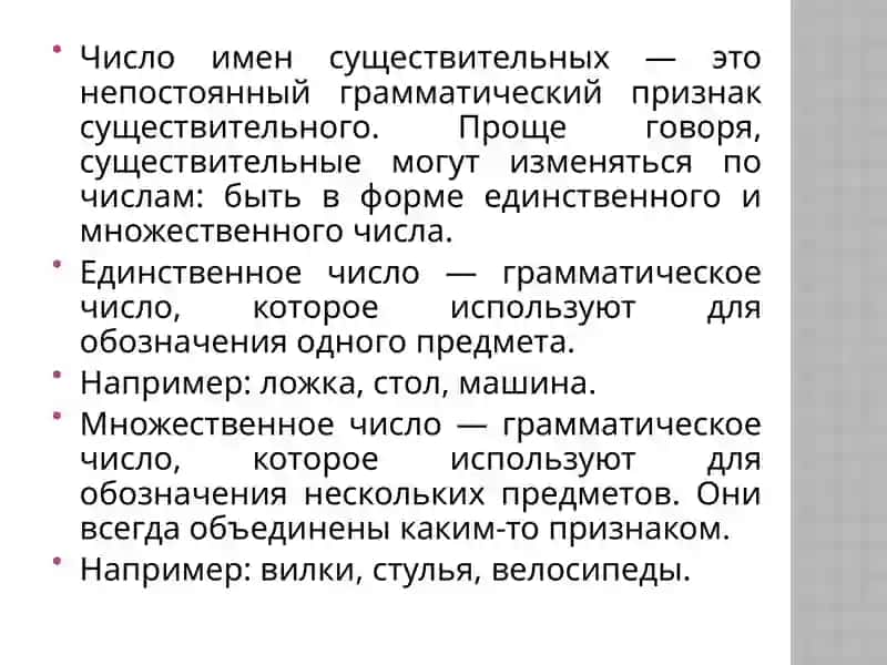 Число имен существительных-2023 год – год заботы о человеке и качественного образования 2